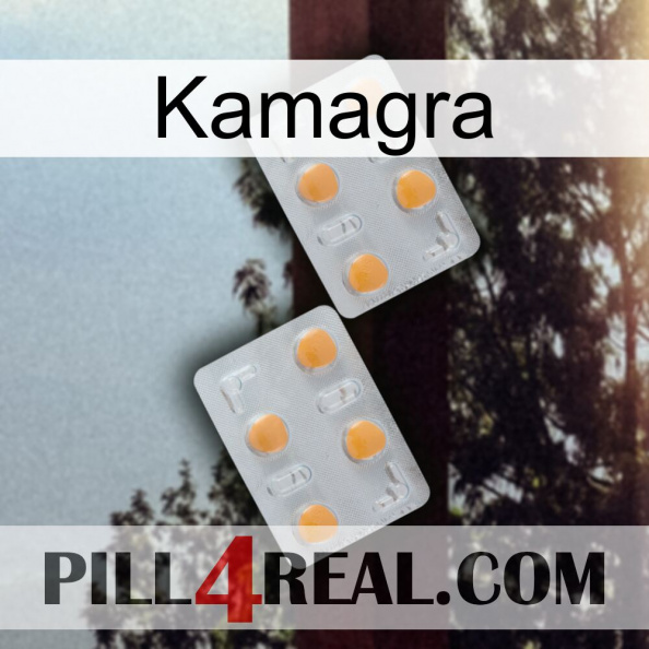 Kamagra 25.jpg